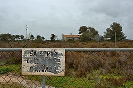 DSC03770 -1_t.jpg